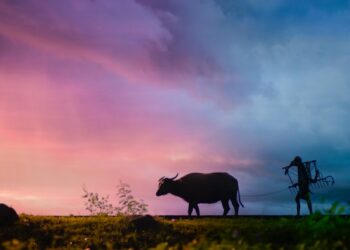 Marla Tar Marla | मारला तर मारला वरून फोटू बी काढला