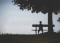 strange person sitting on bench under tree