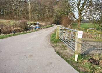 Environmental Crime Scene