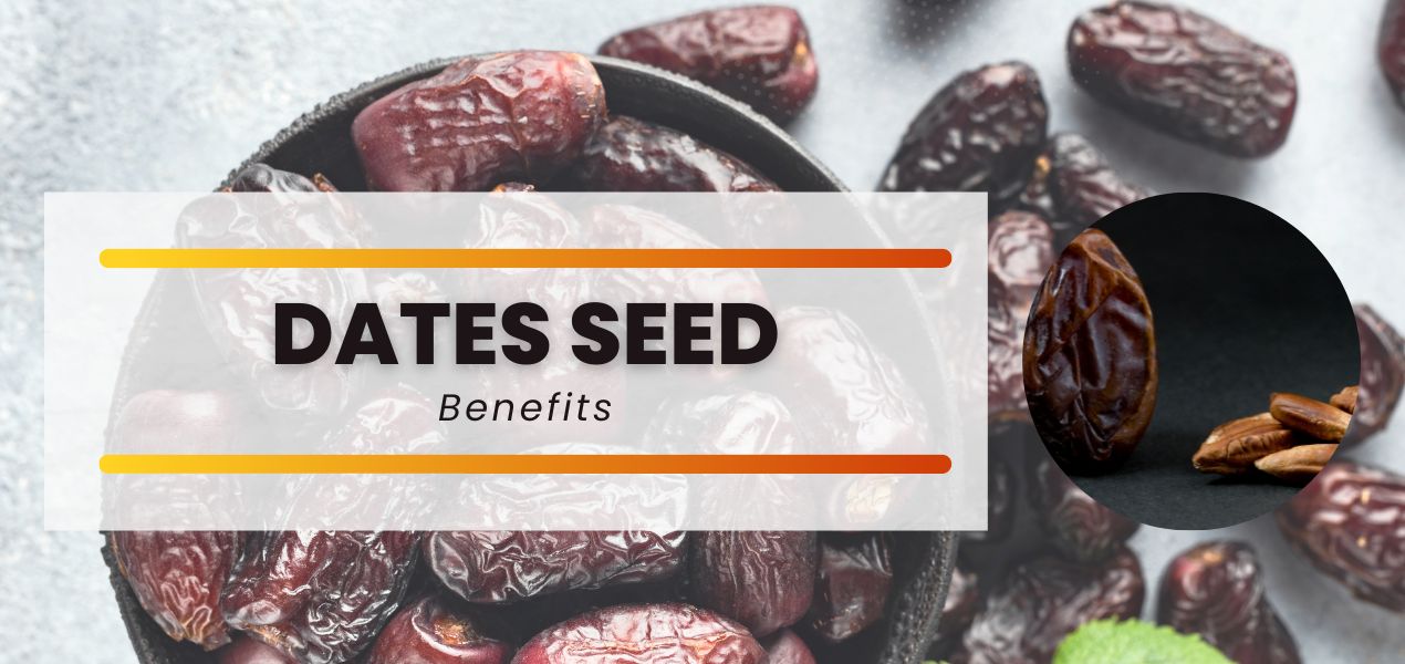 Remarkable dates seed benefits Everyone should include in their diet ANA Times Date seeds should never be thrown away after use because they have so many amazing health advantages. Learn more about the vitamins and minerals that dates seed provide for your health.