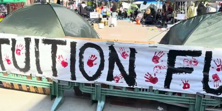 Discover the events of the UC Irvine encampment protest for a Free Palestine. What started as a peaceful demonstration turned into a confrontation with police, drawing significant media attention. Learn more about the students' efforts and the aftermath of the encampment's disbandment.