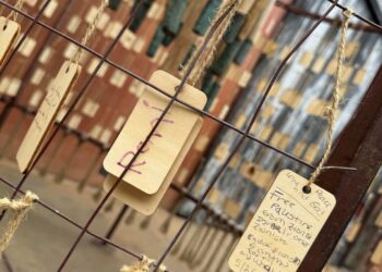 Gaza’s Continual Fight for Their Rights & Freedom