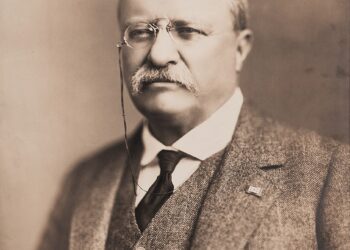 Choosing the Right Leaders: Understanding Age, Experience, and Representation in Modern Politics.