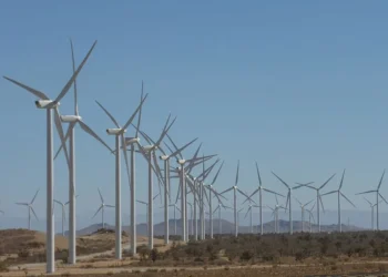 Image need attribution/credit.