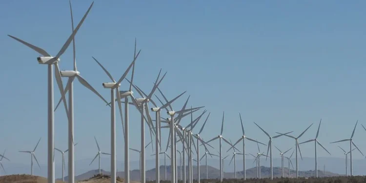 Image need attribution/credit.