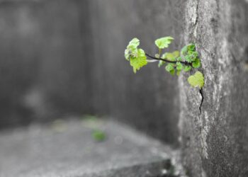 Explore the essence of innocence, a trait beyond childhood, that brings simplicity, compassion, and wonder to life. Learn how to rediscover this purity in a world filled with conflict.