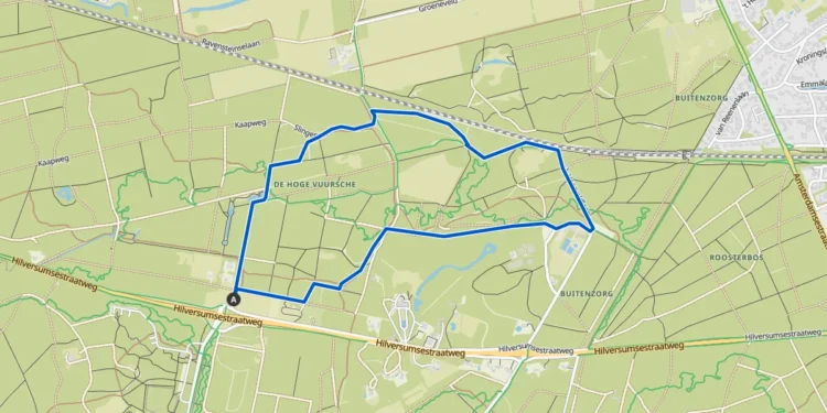 Nature Conservation in Baarn, Netherlands: Challenges for Staatsbosbeheer