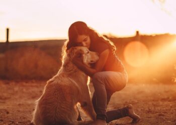 This short story explores the profound connection between humans and animals, particularly dogs, and delves into the concept of unconditional love demonstrated by our animal companions.