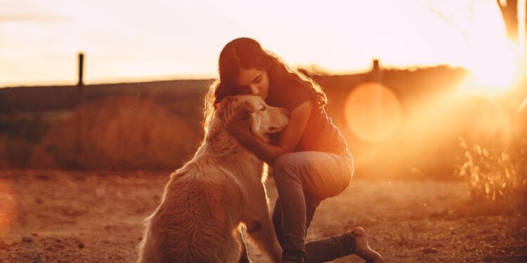 This short story explores the profound connection between humans and animals, particularly dogs, and delves into the concept of unconditional love demonstrated by our animal companions.