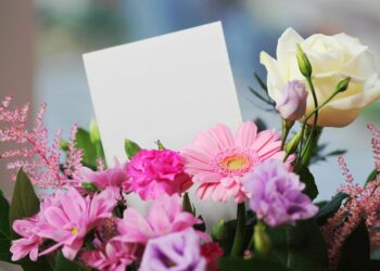 white rose and pink daisy