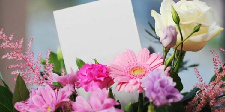 white rose and pink daisy