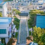 When the Camellia Blooms