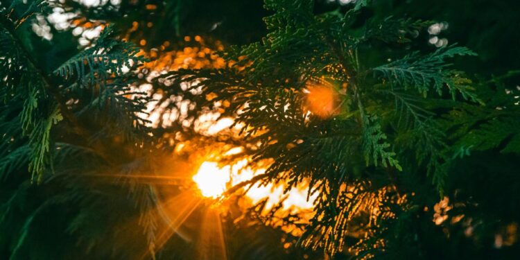 A reflective poem capturing shining moments of truth, success, leadership, climate responsibility, and human achievement—celebrating milestones that inspire change and shape a better future.